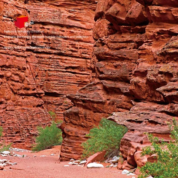 541236017S1 塔拉姆佩雅國家公園_4 Talampaya_4|Memory Qubic 六方記憶拼圖|產品代碼 541236017