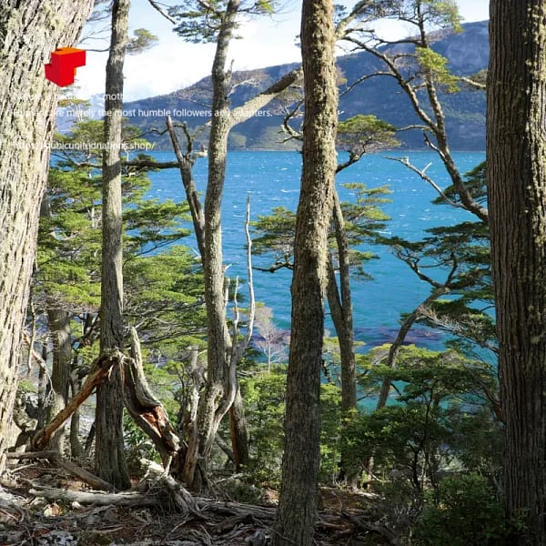 542436006S1 烏斯懷亞_1 Ushuaia_1|Memory Qubic 六方記憶拼圖|產品代碼 542436006