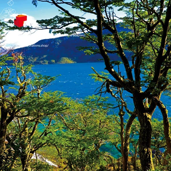 542536008S1 阿根廷_1 Argentina_1|Memory Qubic 六方記憶拼圖|產品代碼 542536008